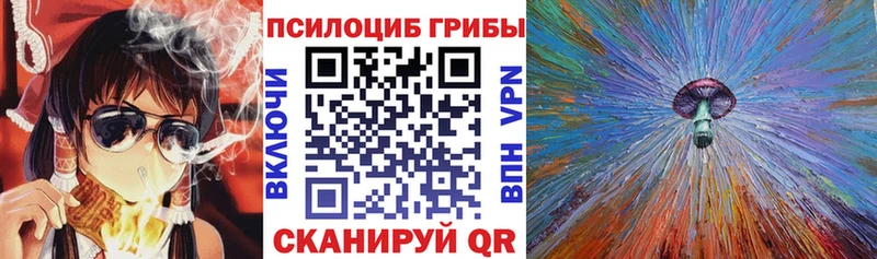 Купить закладки  Володарск  Галлюциногенные грибы мицелий 